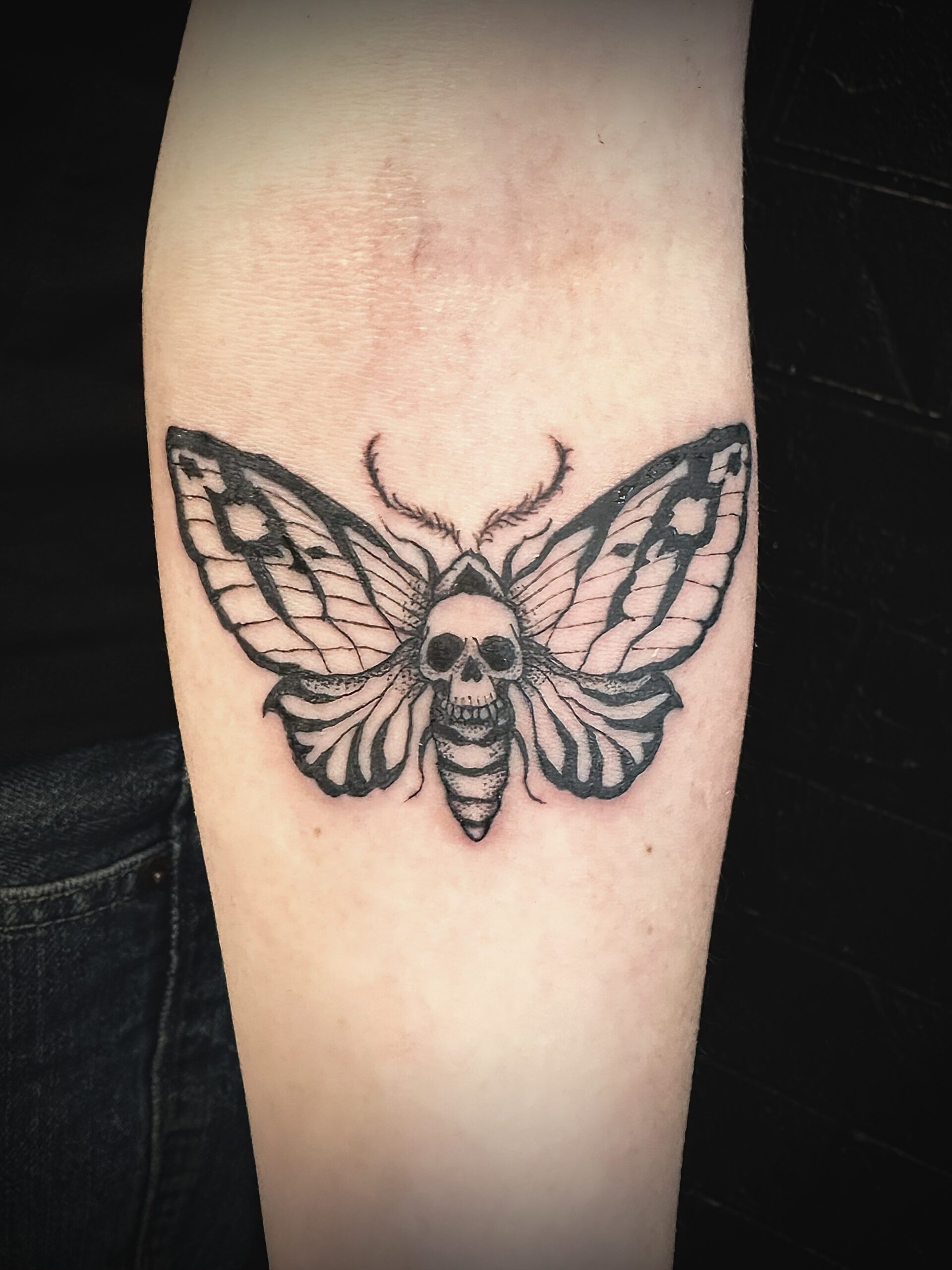 Blackwork deaths head moth tattoo